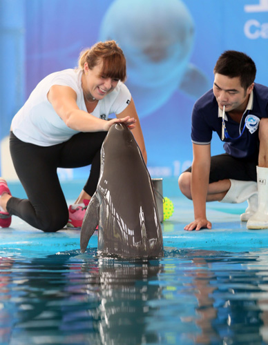 这不仅是四 这不仅是四