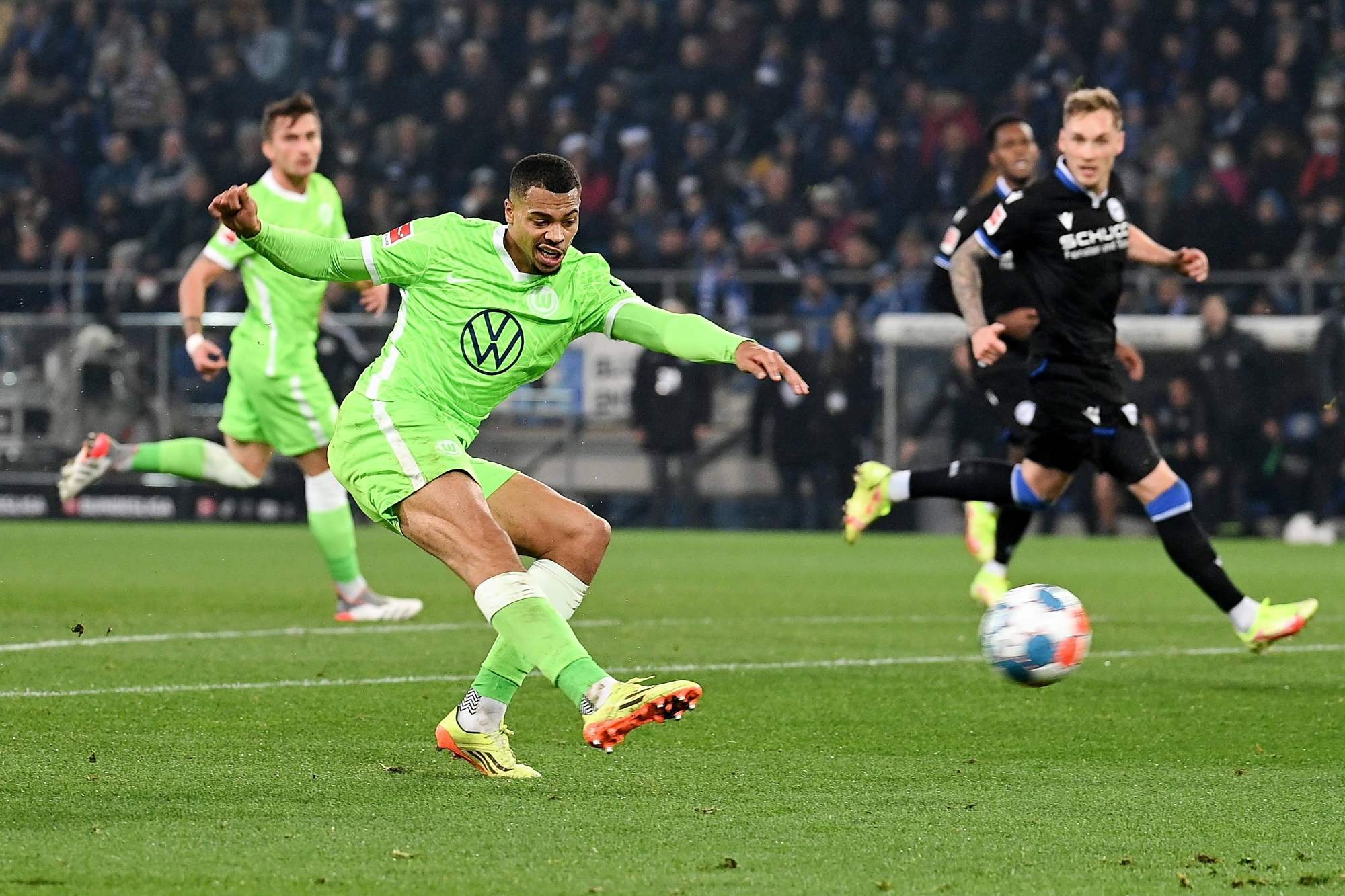 由于家族的 由于家族的