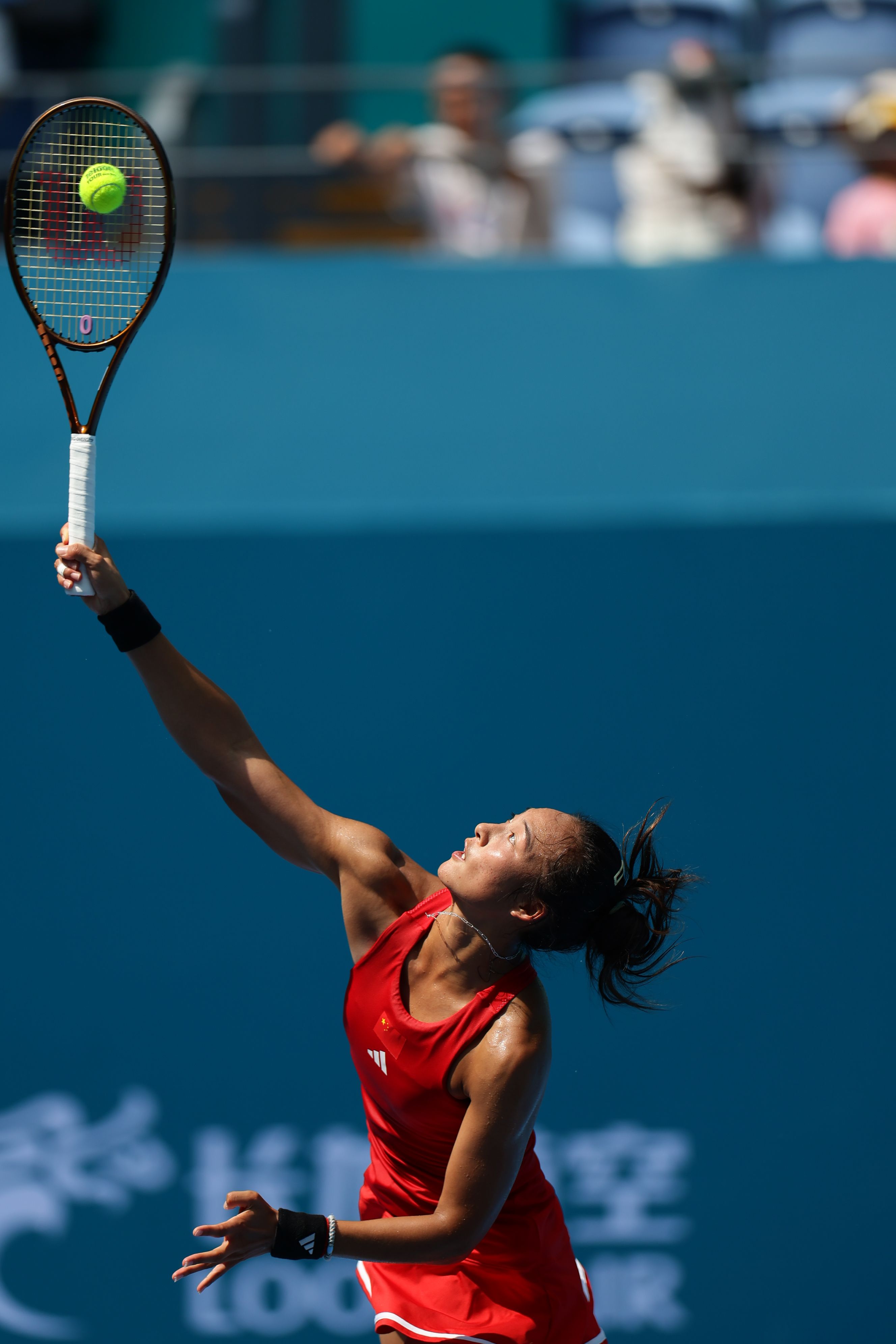 宁男篮的多 宁男篮的多