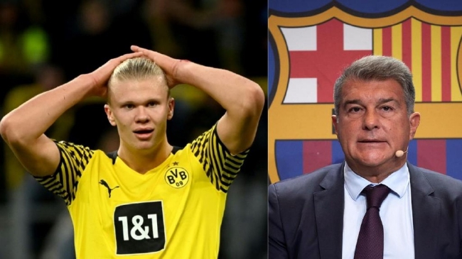 护与品牌长 护与品牌长